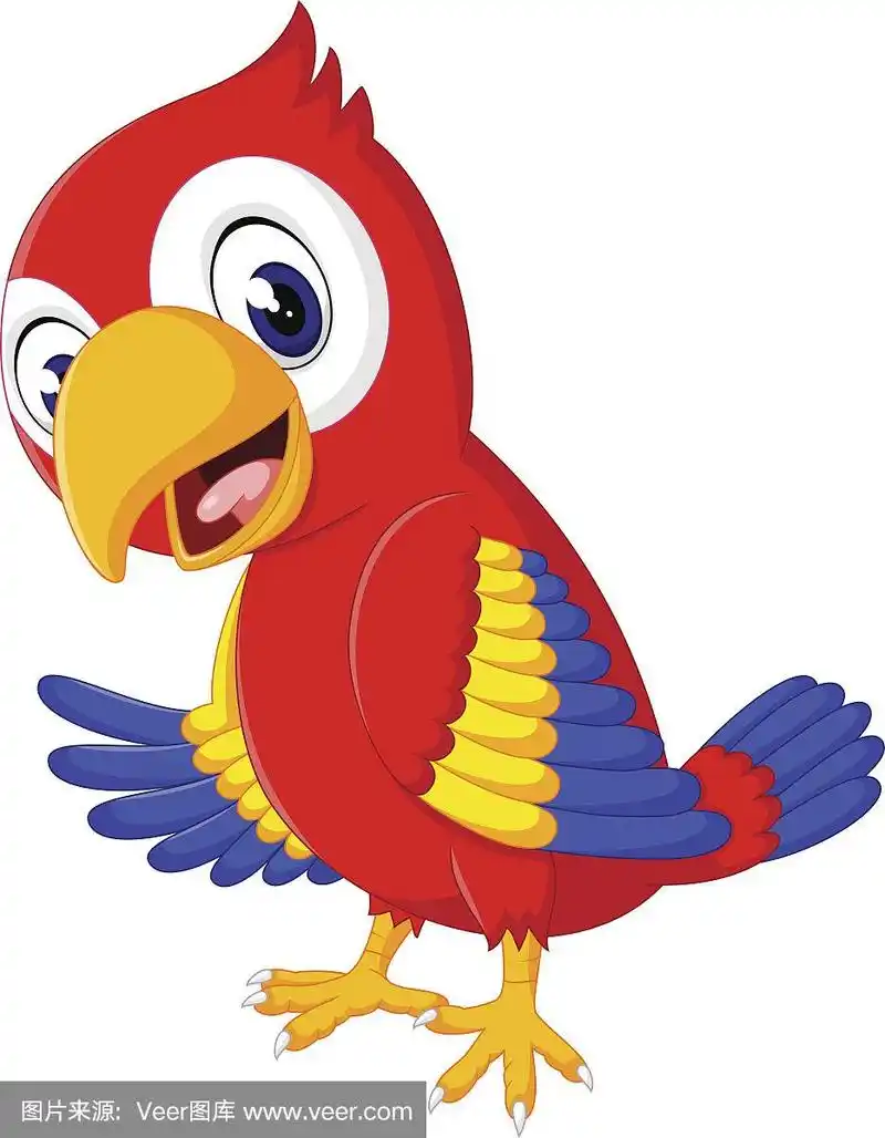 卡通可爱的鹦鹉