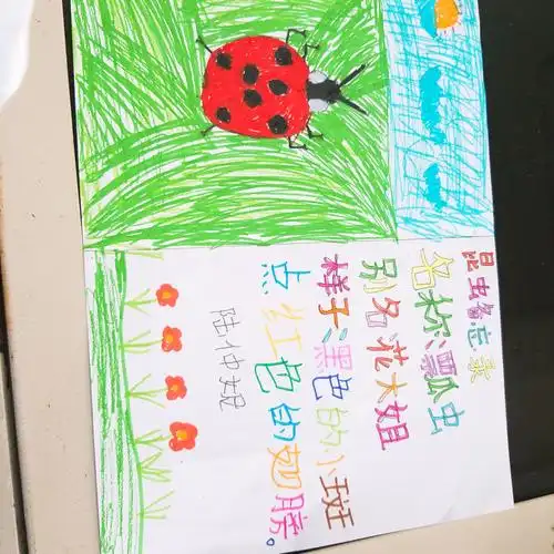 三2班写绘昆虫备忘录