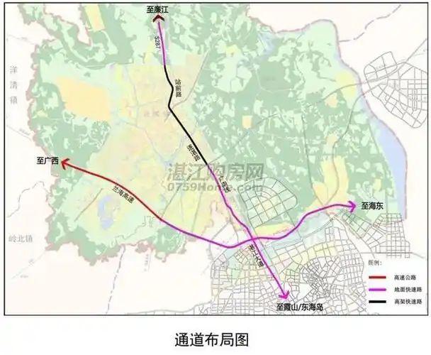 湛江大道远期规划曝光!北延节点公示将在这条村附近建设互通立交