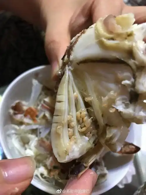 茗荷,一种附生在螃蟹身上的甲壳动物,并不是寄生虫.