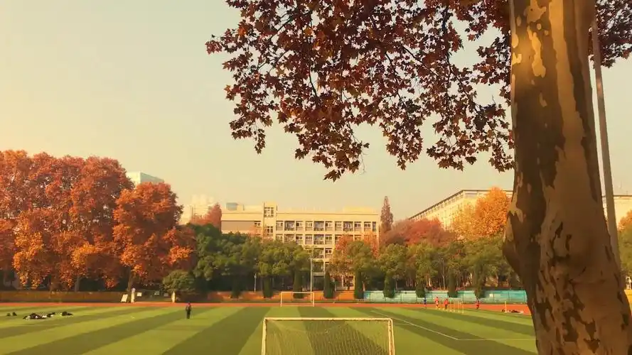 985/211重点高校之武汉大学信息学部的秋天竟然如此的美?
