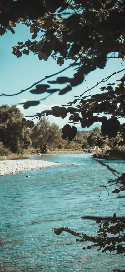 苹果11动态锁屏壁纸.