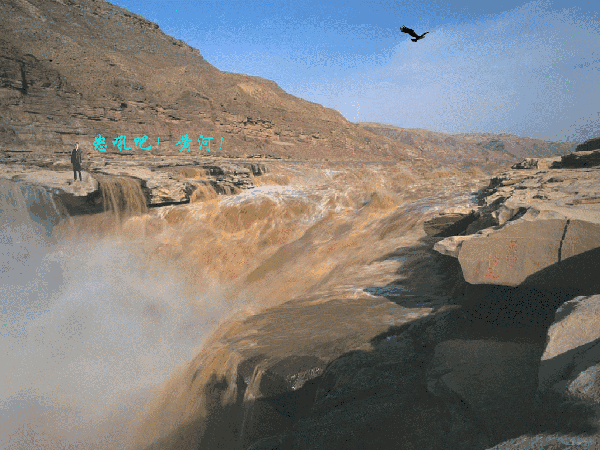 600_450gif 动态图 动图