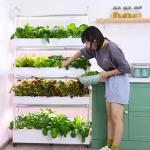 设备智能多层水培种植机室内家庭阳台草莓种菜机神器tb