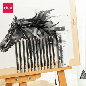 得力美术炭笔绘画专用铅笔2b/4b/6b/8b/hb/2h/硬炭/中炭/软炭素描学生