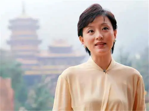 前央视主持人杨澜照片曝光,年轻时候好似港片女神,灰姑娘的逆袭