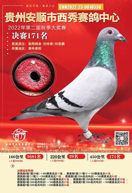 贵州安顺西秀公棚171名 - 勋翔鸽舍(波拉传承)