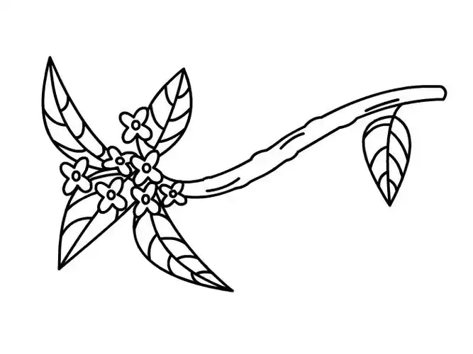 桂花树的图画的画法 怎么画桂花树 桂花树怎么画简单好看-养娃家