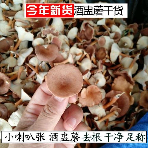 野生喇叭蘑 酒盅蘑 小喇叭张蘑菇 深凹杯伞食用蘑菇干货去根包邮