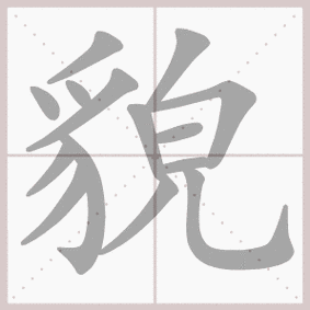 貌- 生字笔顺演示