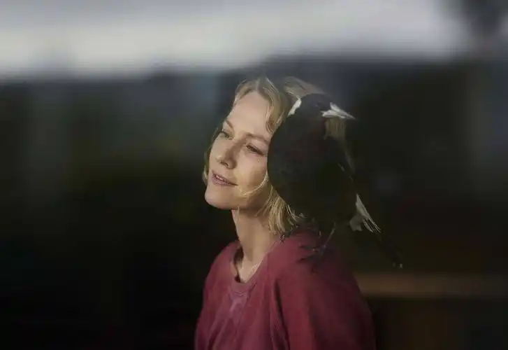 的新衍生剧题材分别是,"海蛇"科利斯·瓦列利安,多恩战士女王娜梅莉亚