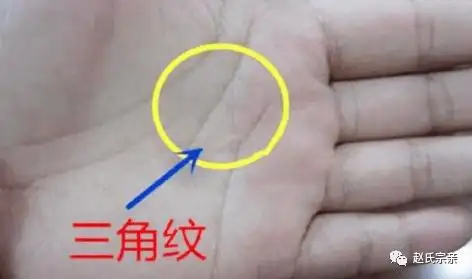 俗语"三角纹在手,富到九十九",有道理吗?古人的识人经验