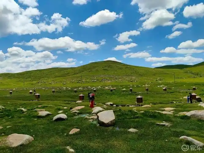 美景#大美甘南!美仁大草原_甘肃社区_易车论坛