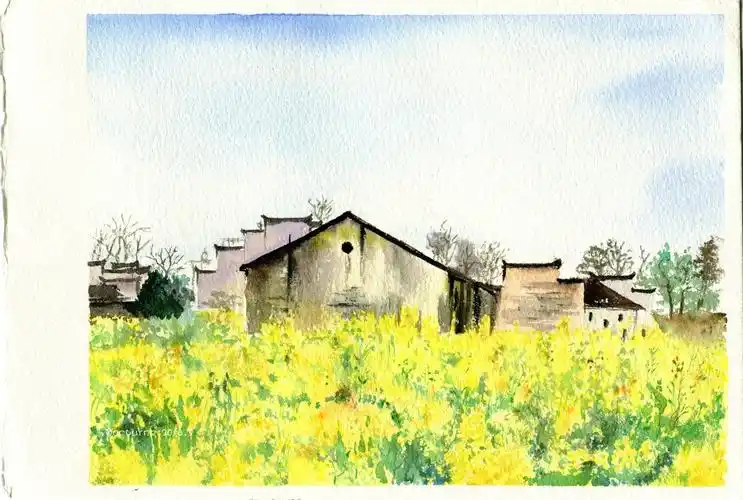 水彩油菜花风景