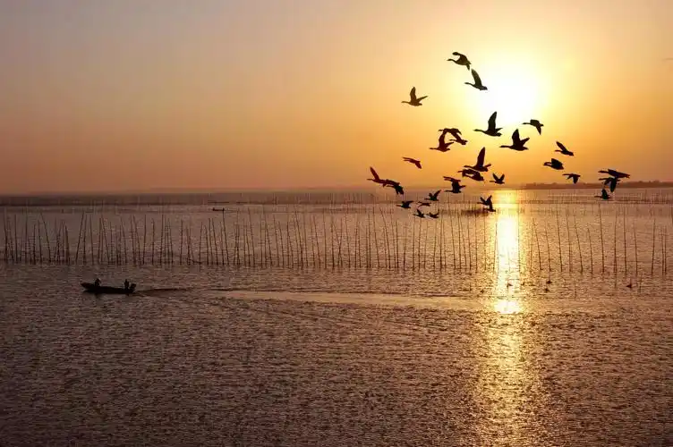 2021年"美好安徽·最美皖南游"宣传推广活动启动仪式暨文旅产品采购