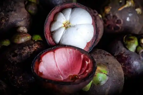 孕妇能吃山竹吗?