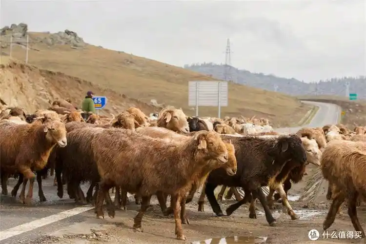 新疆美食"最能打"的地方,乌鲁木齐靠边站,这几样特色美食绝了_牛羊肉