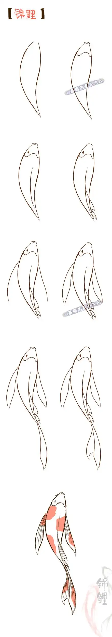 手帐画条锦鲤转发好运