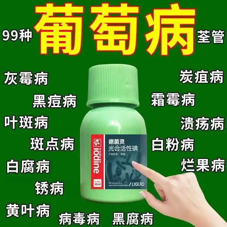 葡萄专用药葡萄药病全治霜霉病灰霉病白腐病黑痘烂穗炭疽病杀菌剂