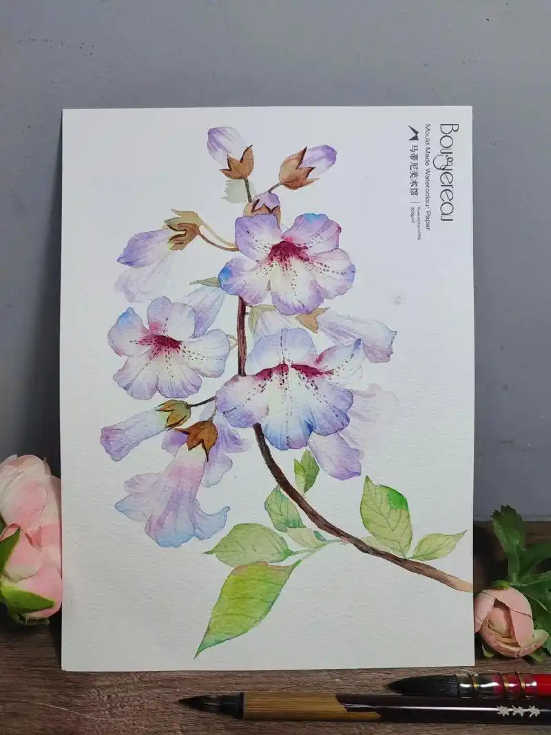 水彩泡桐花‖内附详细步骤和线稿.#画画 #水彩花卉 #一起学 - 抖音