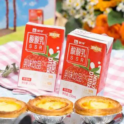蒙牛酸酸乳草莓口味乳味饮品250ml24礼盒装2件