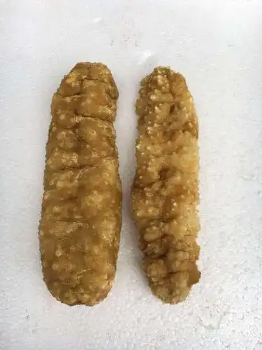 黄肉参(黄玉参)