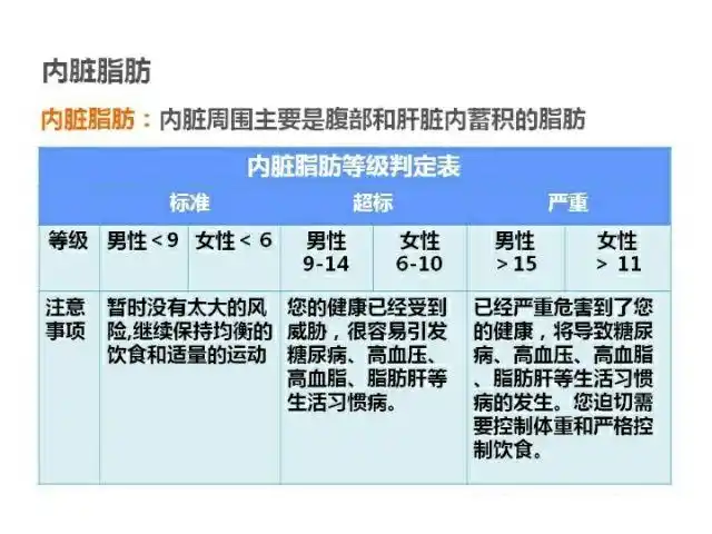 内脏脂肪等级为6啥意思?