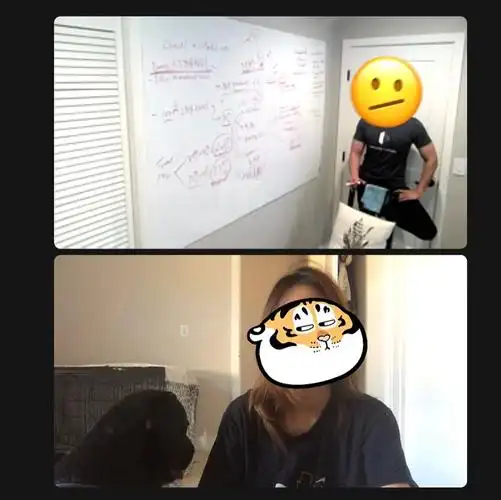 [doge]#zoom#zoom会议#拉布拉多#狗狗日常#湾区#我的萌宠#labrador