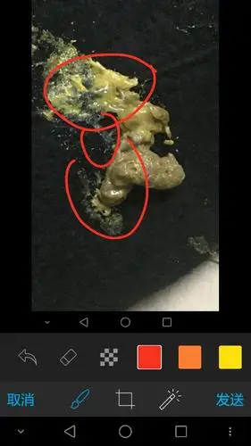 没过2个小时它又吐出来一条虫子!准备带它去医院的时