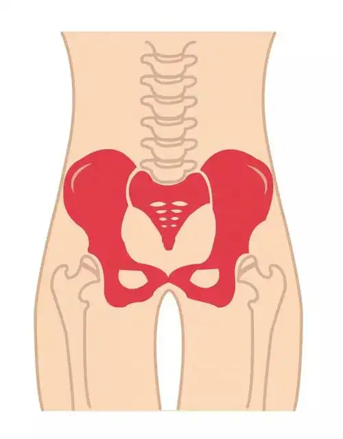 产后恢复三大必修课,按这个顺序做,效果大不同!