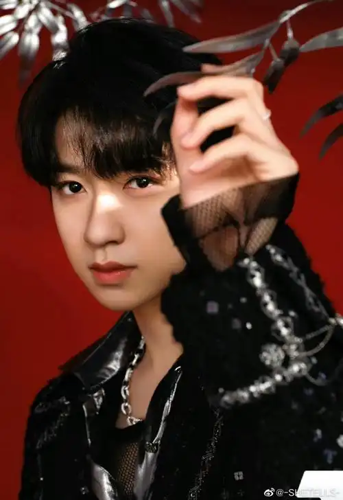 shetells |star look@时代少年团-贺峻霖·身穿秋冬款"幻彩锁链边外套