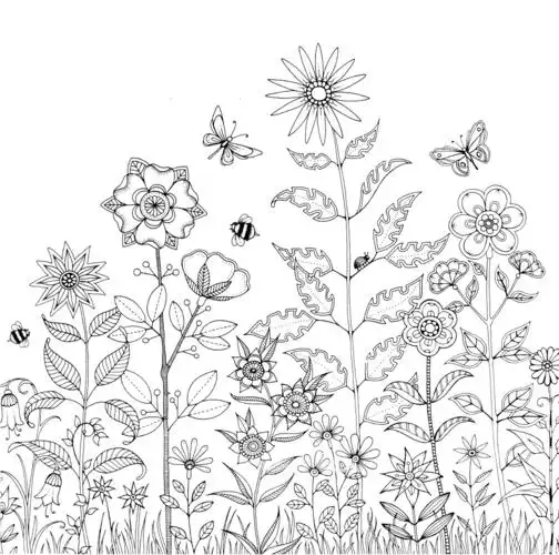 秘密花园空白稿