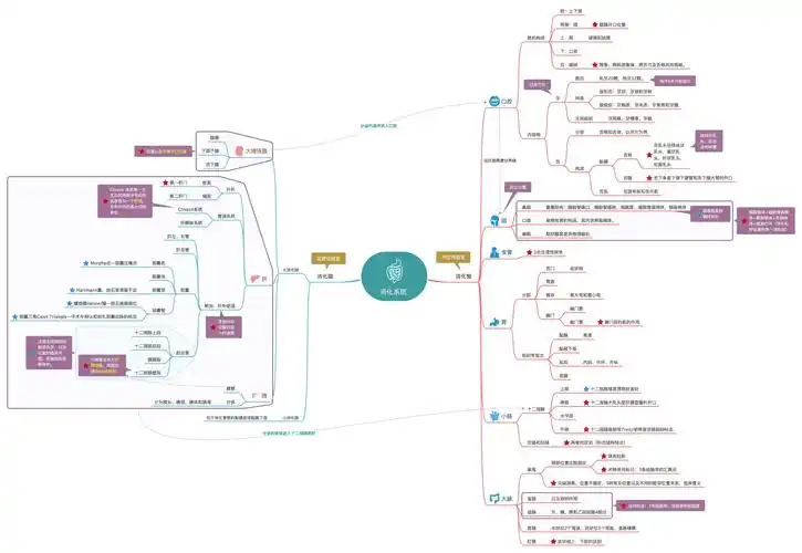 思维导图系统解剖学消化系统