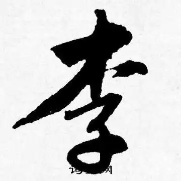 李字行书写法_李行书怎么写好看_李书法图片_词典网