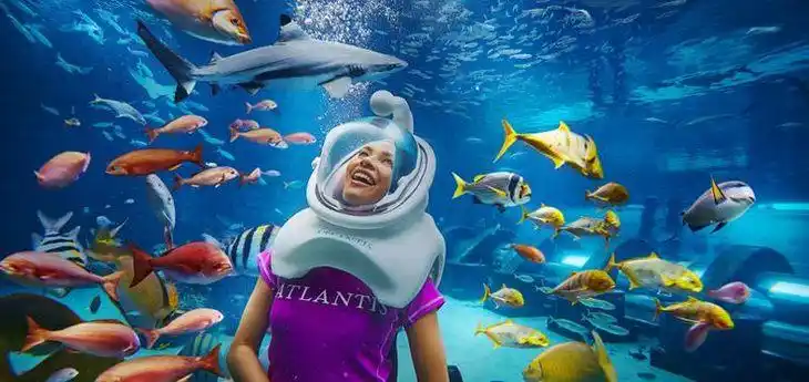 门票 ▏三亚·亚特兰蒂斯失落的空间水族馆