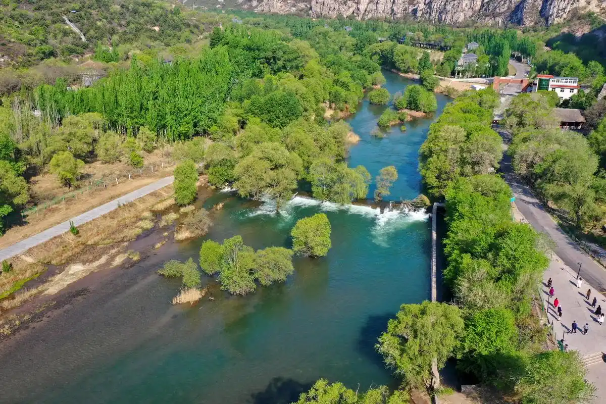 汾河岸边绿意浓
