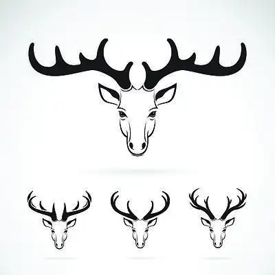 白色背景下鹿头设计的向量组.野生动物.易于编辑的分层矢量图.
