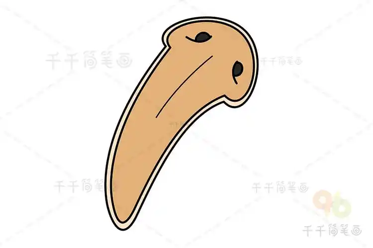 涡虫简笔画教程