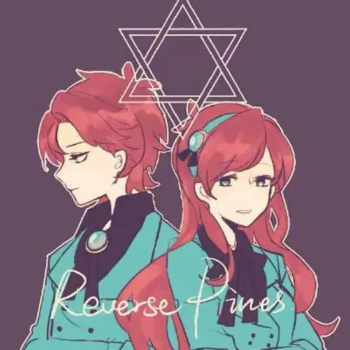 反转小镇 reverse falls dipper mabel gf gravityfalls