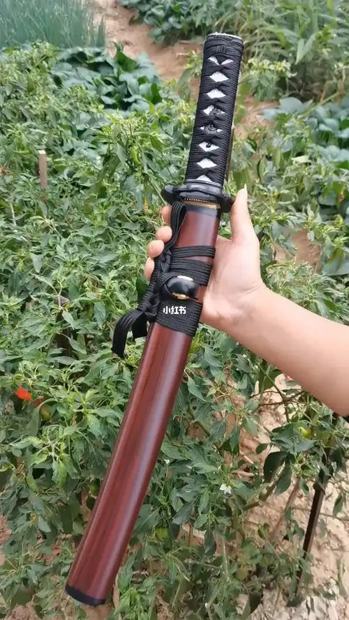 短刀武士刀12寸短肋差龙泉刀剑