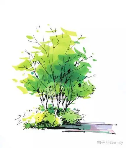 马克笔画树马克笔画树教程