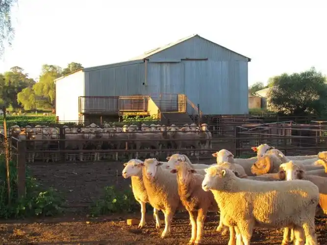 澳大利亚绿洲农商澳大利亚的农场地产买卖专家