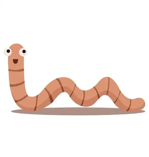 蚯蚓