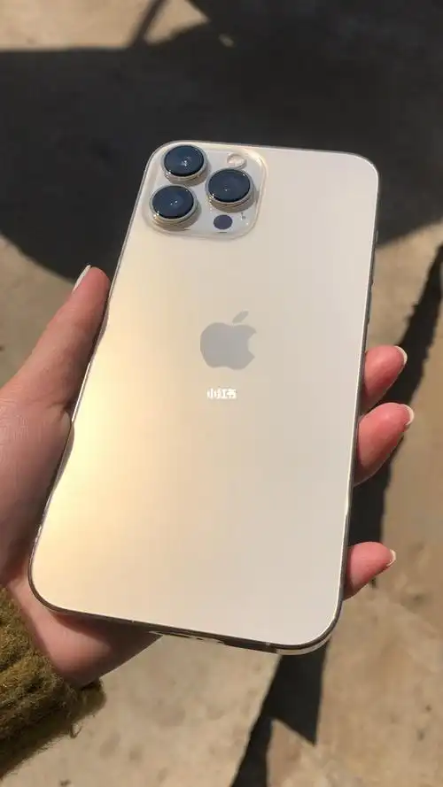 苹果13promax金色