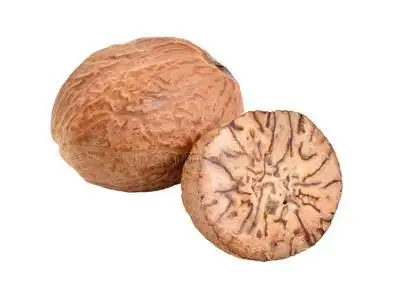 肉豆蔻螺母图片