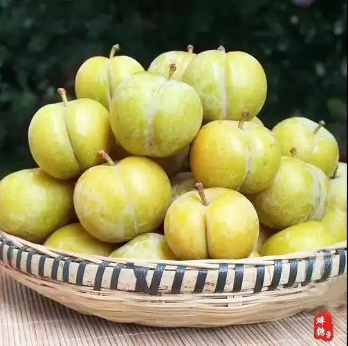 贵阳这里的蜂糖李花样"造假"!商户霸气回应:就这样卖,谁来都管不了