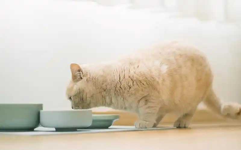 小清新简约风景图片桌面壁纸