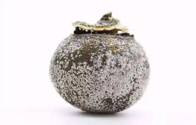 小青柑上面有白霜的东西是发霉了吗?小青柑有白霜还能喝吗?