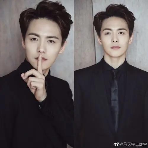 非要扯上美的话,我觉得马天宇比杨洋强.