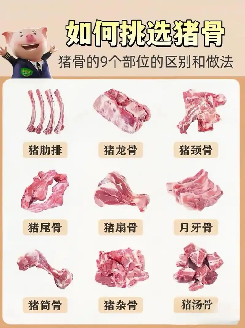 如何挑选猪骨.常见的9种猪骨头区别和做法#生活小常识 #猪肉 - 抖音